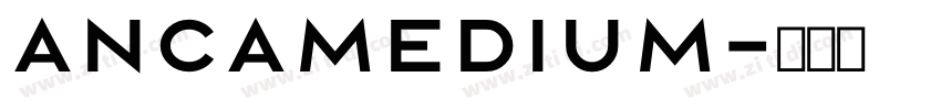 AncaMedium字体转换
