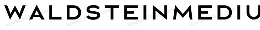 WaldsteinMedium字体转换