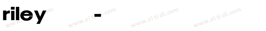 riley下载站字体转换