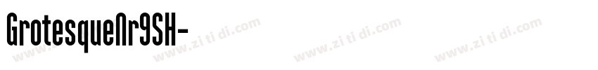 GrotesqueNr9SH字体转换