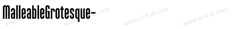 MalleableGrotesque字体转换