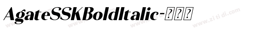 AgateSSKBoldItalic字体转换