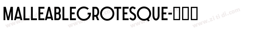 MalleableGrotesque字体转换