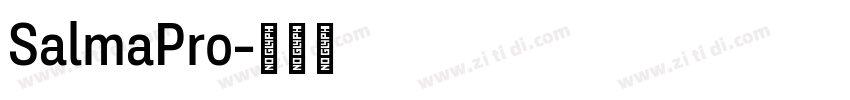 SalmaPro字体转换