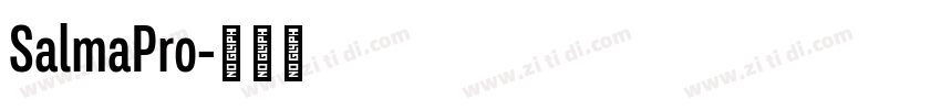 SalmaPro字体转换