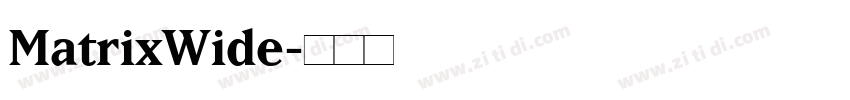 MatrixWide字体转换