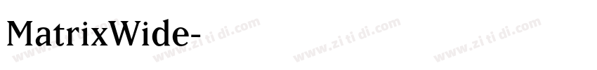 MatrixWide字体转换