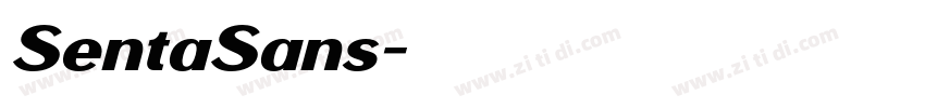 SentaSans字体转换 SentaSans字体转换