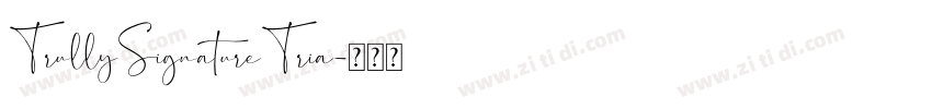 TrullySignatureTria字体转换