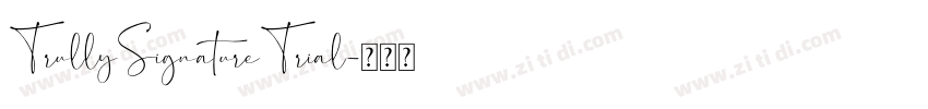TrullySignatureTrial字体转换