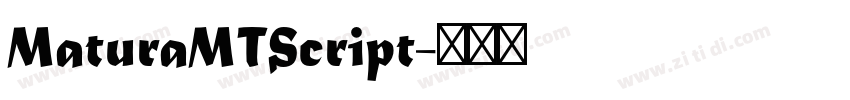 MaturaMTScript字体转换