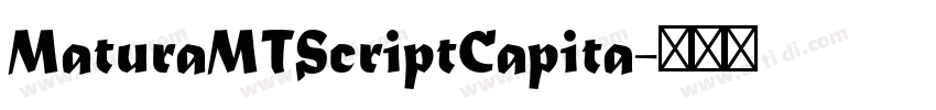 MaturaMTScriptCapita字体转换