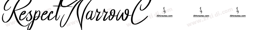 RespectNarrowC字体转换