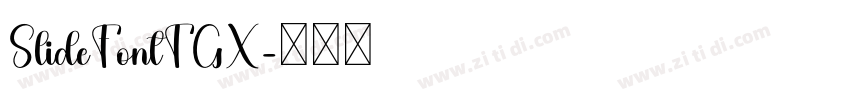 SlideFontTGX字体转换