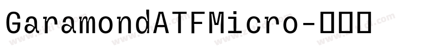 GaramondATFMicro字体转换