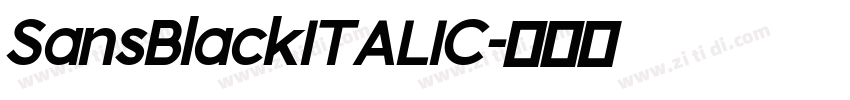 SansBlackITALIC字体转换 SansBlackITALIC字体转换