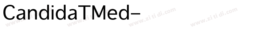 CandidaTMed字体转换
