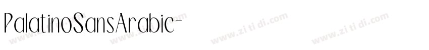 PalatinoSansArabic字体转换