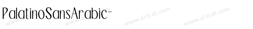 PalatinoSansArabic字体转换