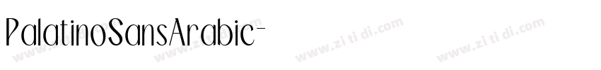 PalatinoSansArabic字体转换