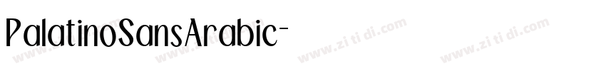 PalatinoSansArabic字体转换