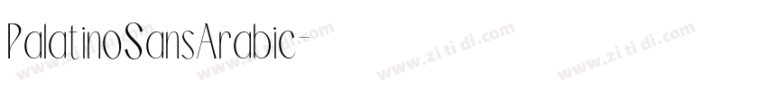 PalatinoSansArabic字体转换