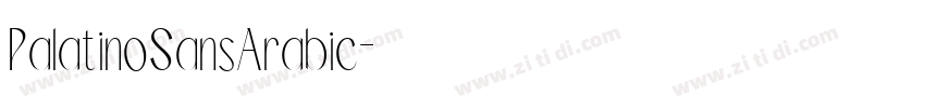 PalatinoSansArabic字体转换