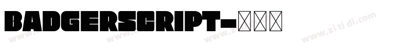 BadgerScript字体转换