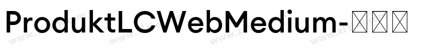 ProduktLCWebMedium字体转换