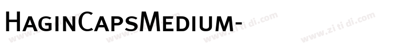 HaginCapsMedium字体转换