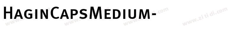 HaginCapsMedium字体转换