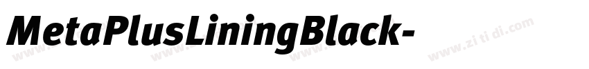 MetaPlusLiningBlack字体转换
