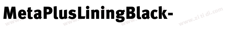 MetaPlusLiningBlack字体转换