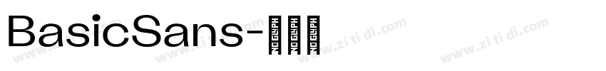BasicSans字体转换 BasicSans字体转换