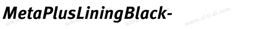 MetaPlusLiningBlack字体转换