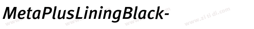MetaPlusLiningBlack字体转换