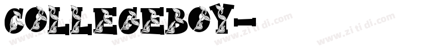 CollegeBoy字体转换