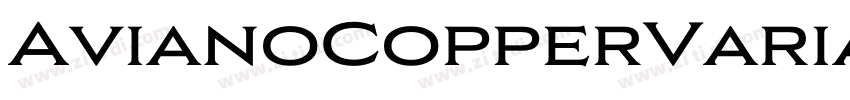 AvianoCopperVariable字体转换