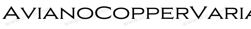 AvianoCopperVariable字体转换