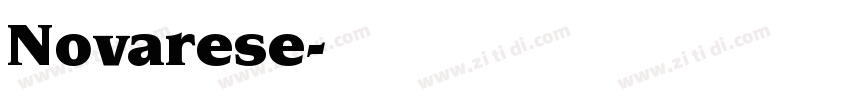 Novarese字体转换