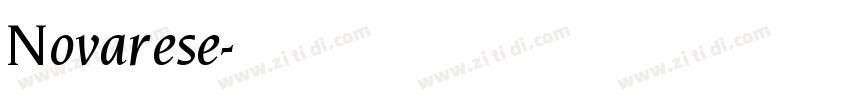 Novarese字体转换