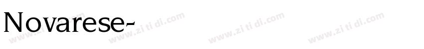Novarese字体转换
