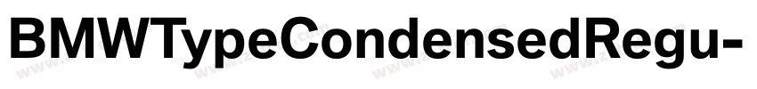 BMWTypeCondensedRegu字体转换 BMWTypeCondensedRegu字体转换