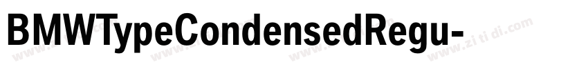 BMWTypeCondensedRegu字体转换 BMWTypeCondensedRegu字体转换