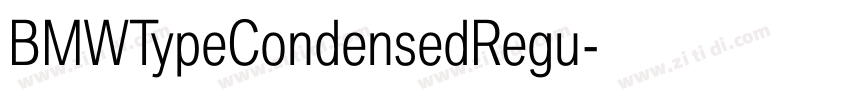 BMWTypeCondensedRegu字体转换 BMWTypeCondensedRegu字体转换