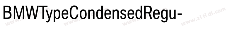 BMWTypeCondensedRegu字体转换 BMWTypeCondensedRegu字体转换