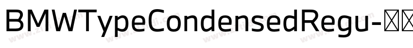 BMWTypeCondensedRegu字体转换 BMWTypeCondensedRegu字体转换