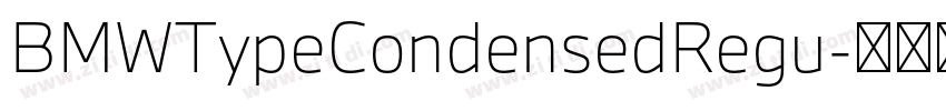 BMWTypeCondensedRegu字体转换 BMWTypeCondensedRegu字体转换