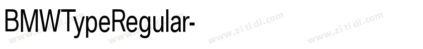 BMWTypeRegular字体转换 BMWTypeRegular字体转换