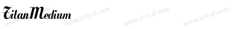 TitanMedium字体转换